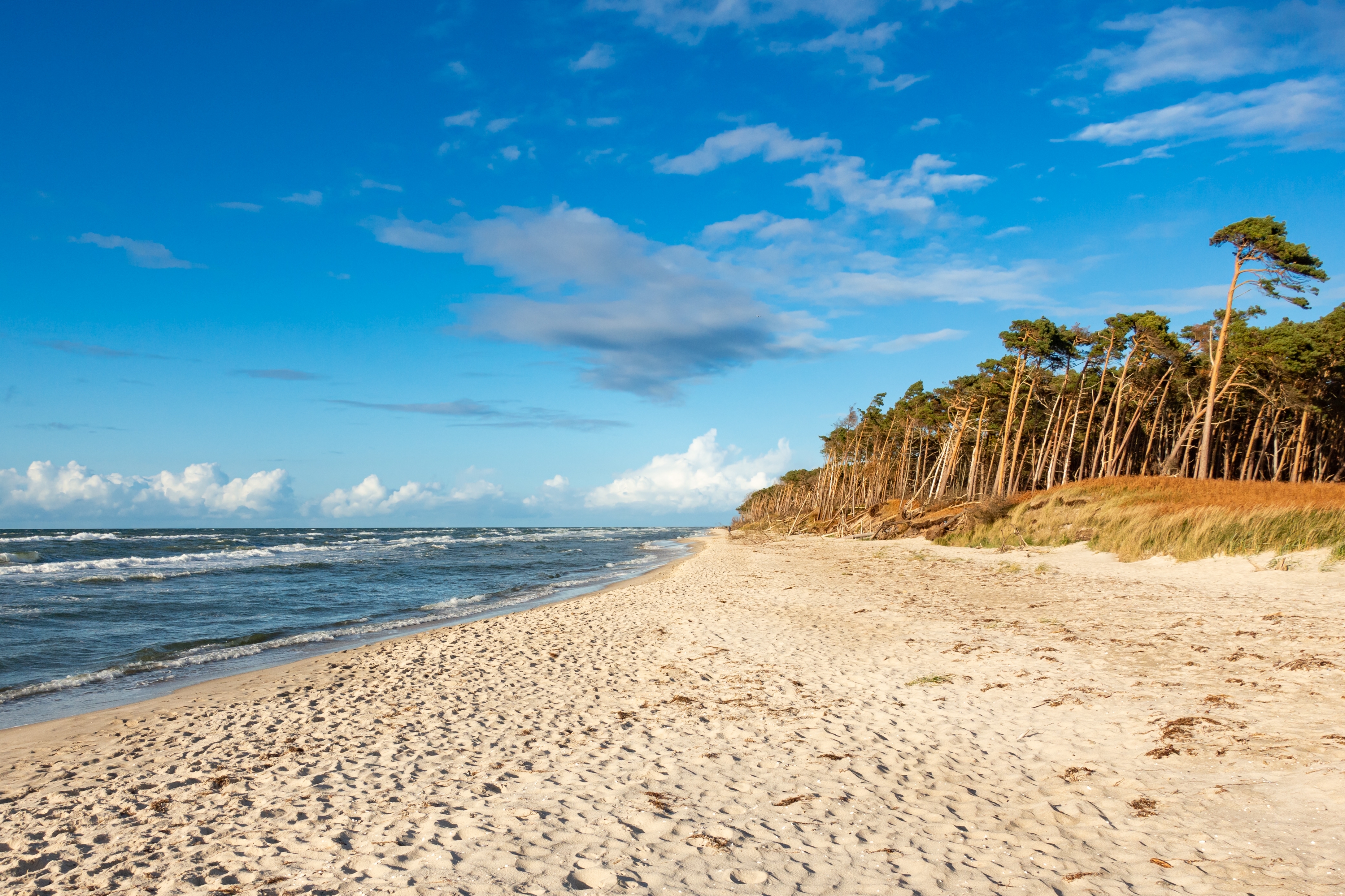 Sommer an der Ostsee 2026