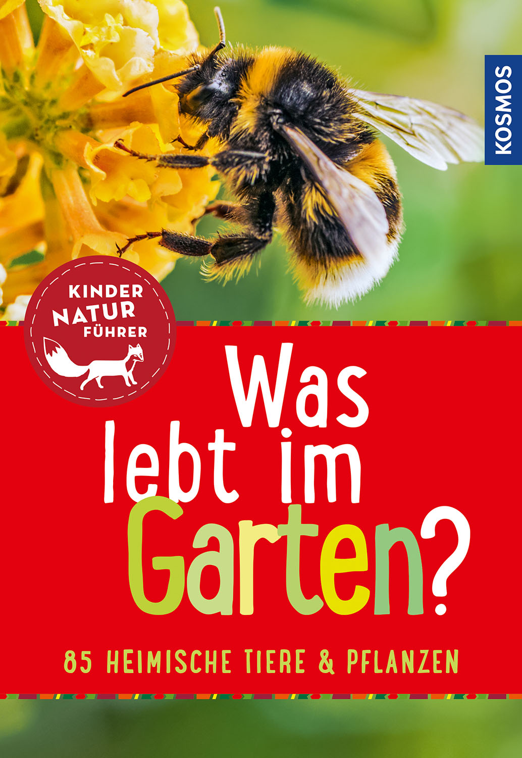 Kindernaturführer: Was lebt im Garten