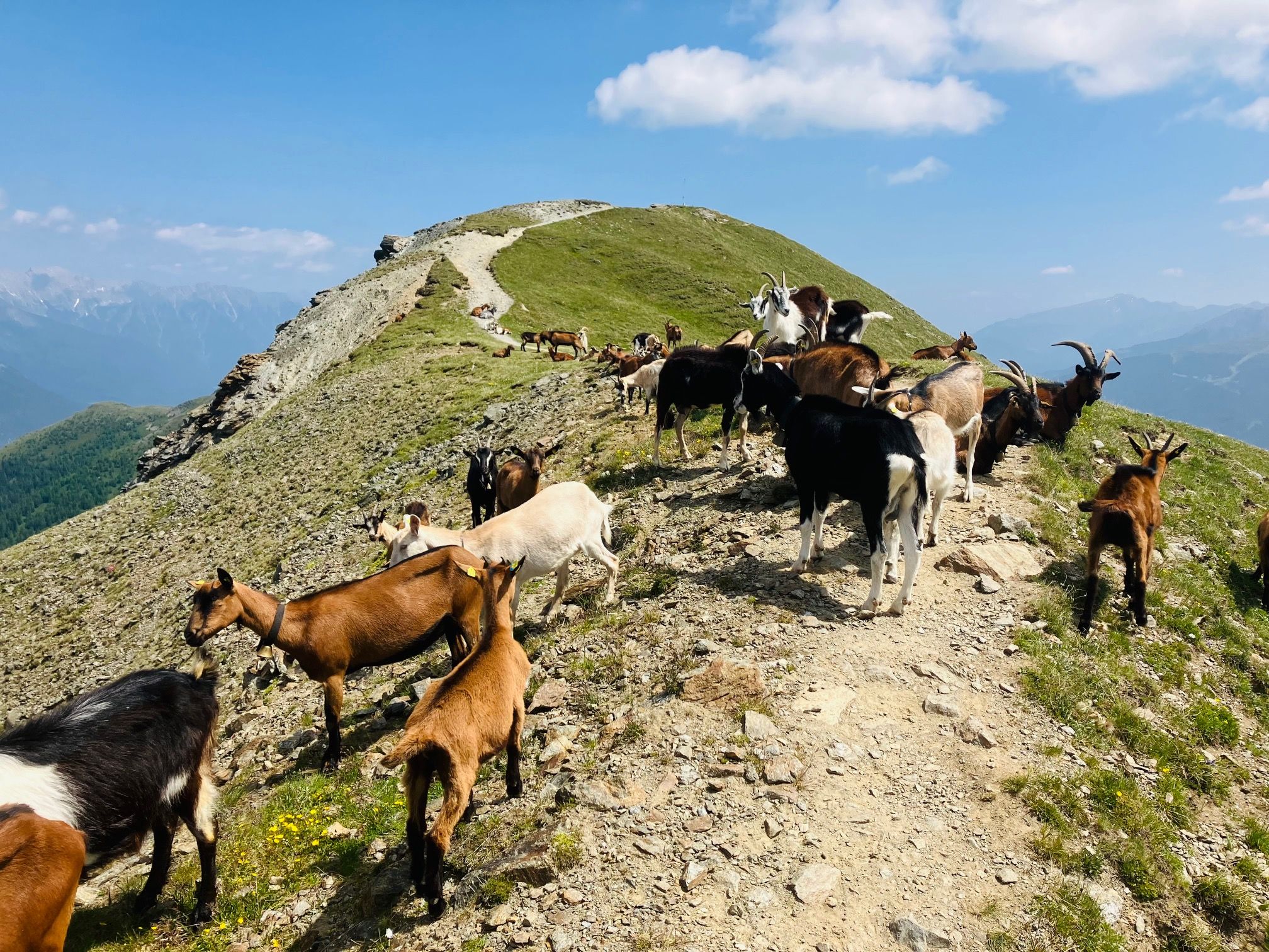 Alpenüberquerung